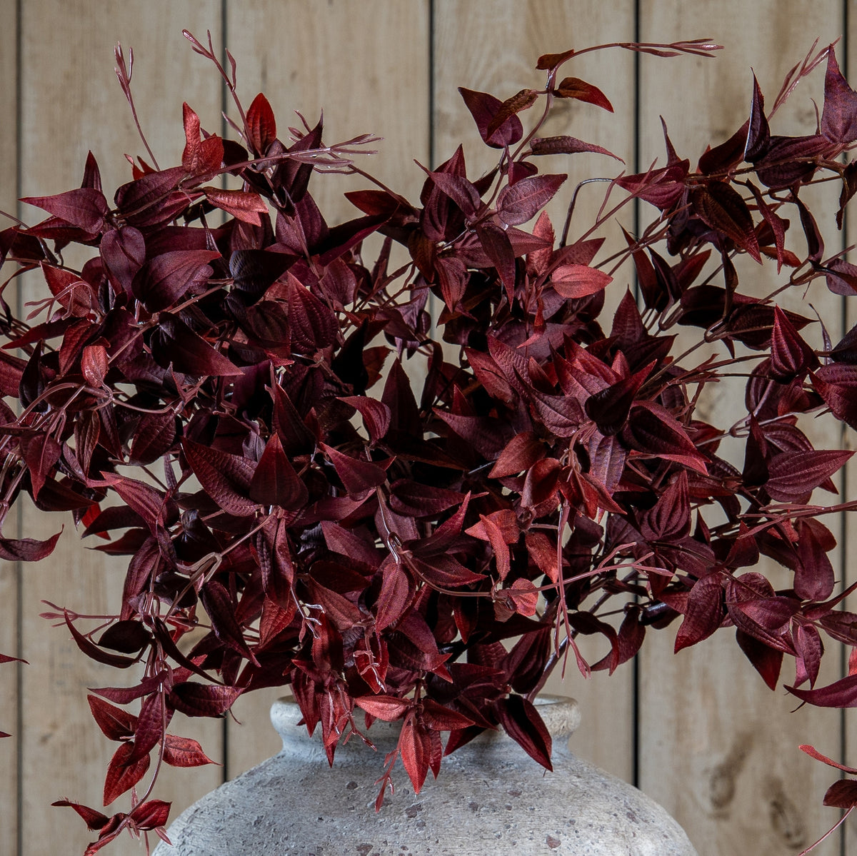 Ornamental Burgundy Leaf - image 1