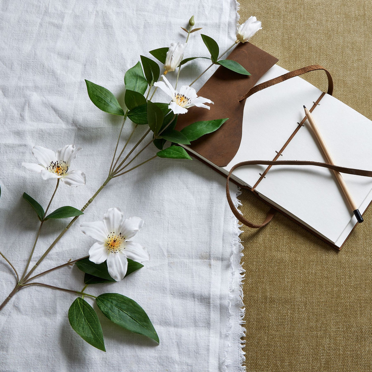 White Florida Clematis - image 1