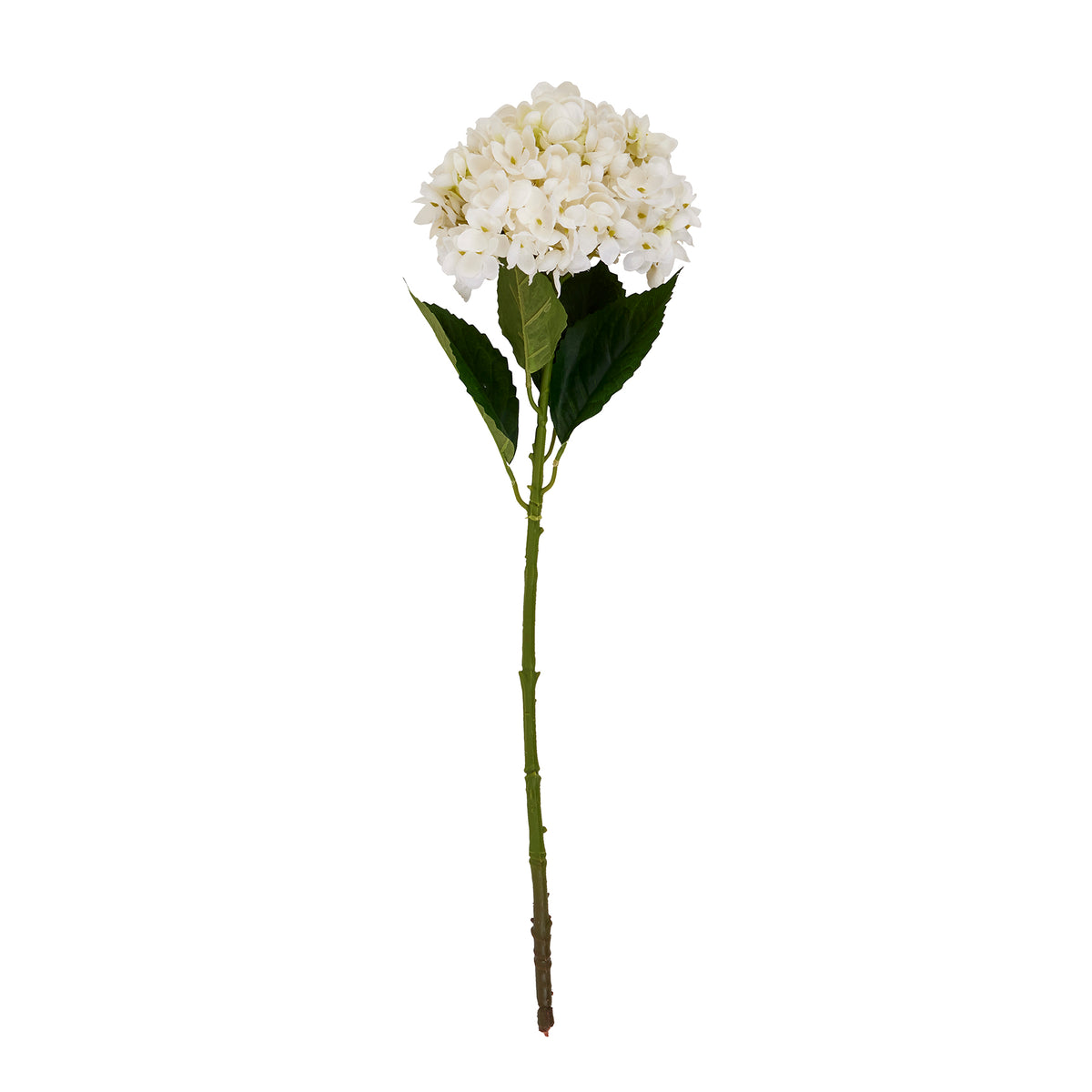 White Hydrangea Stem - image 2