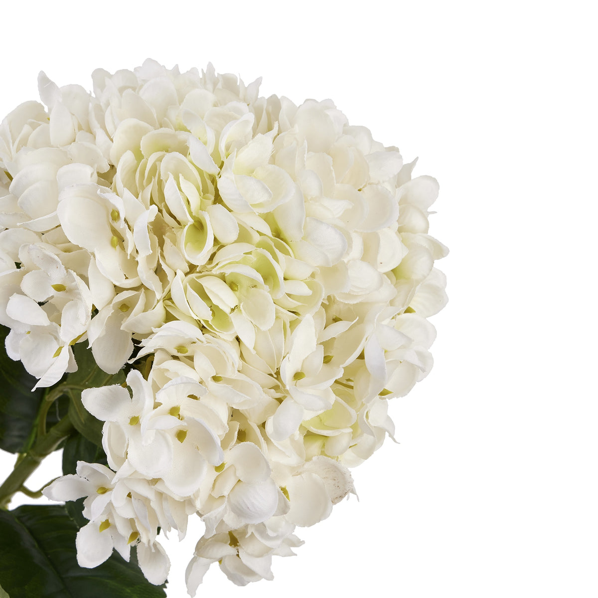 White Hydrangea Stem - image 3
