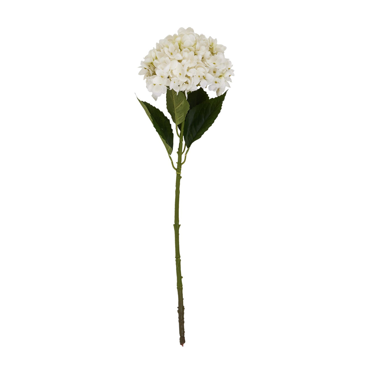 White Hydrangea Stem - image 4