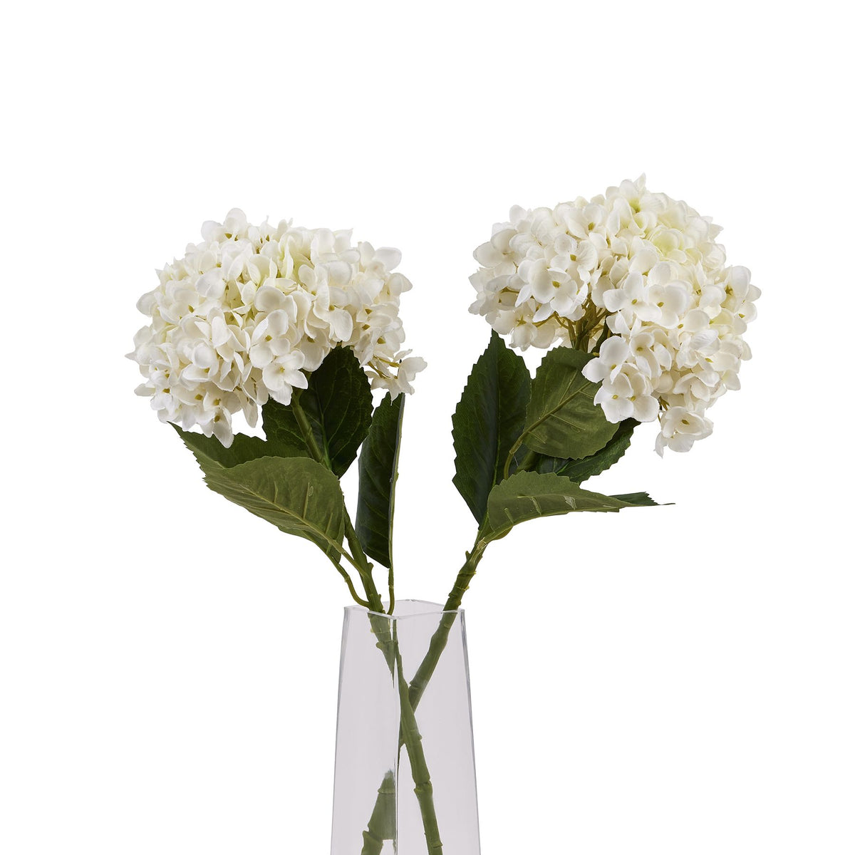 White Hydrangea Stem - image 5