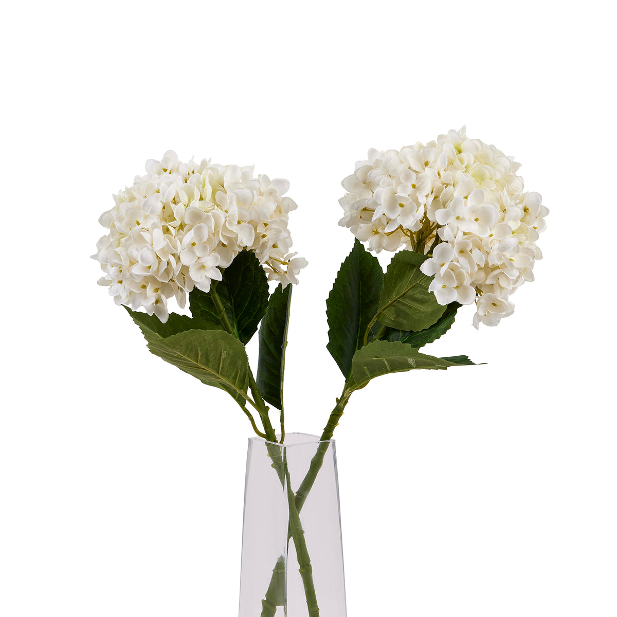 White Hydrangea Stem - image 1