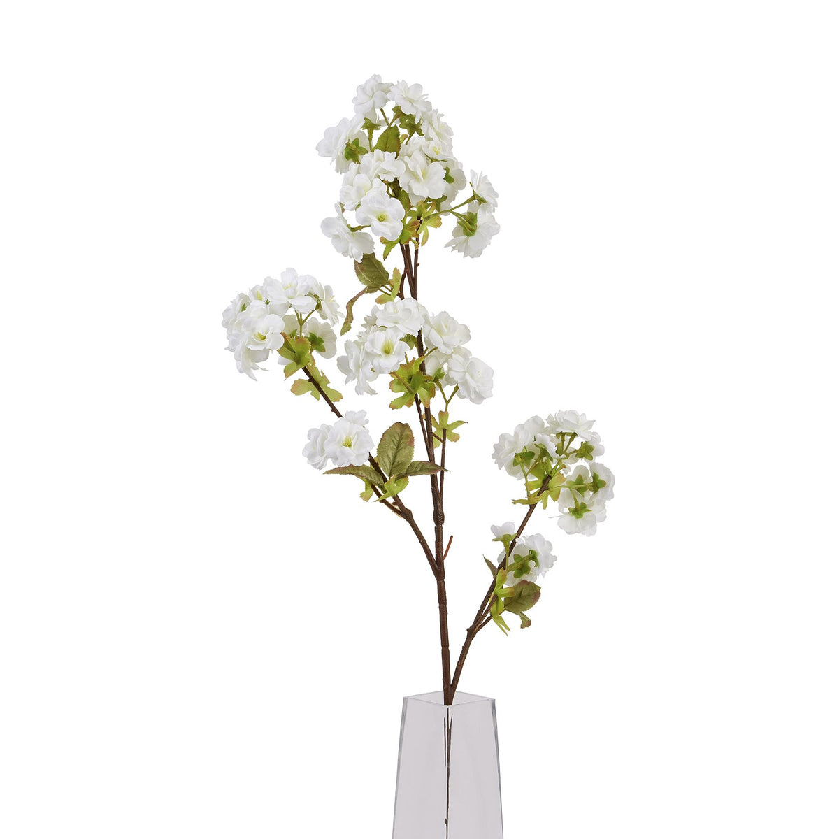 Tall White Blossom - image 5