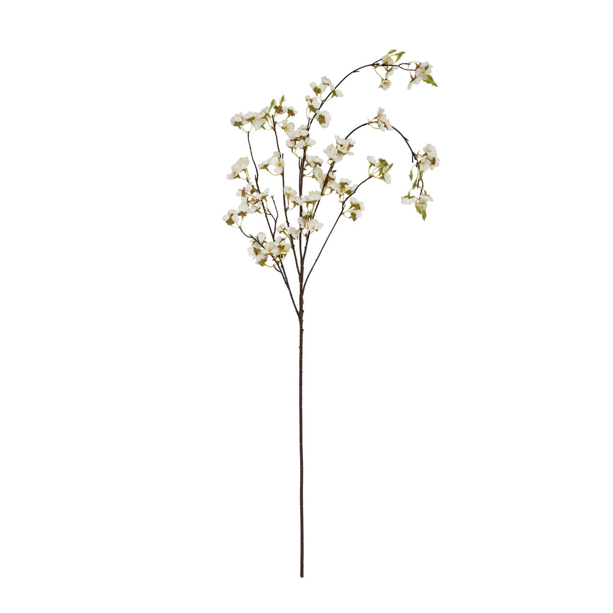 White Japanese Blossom - image 4