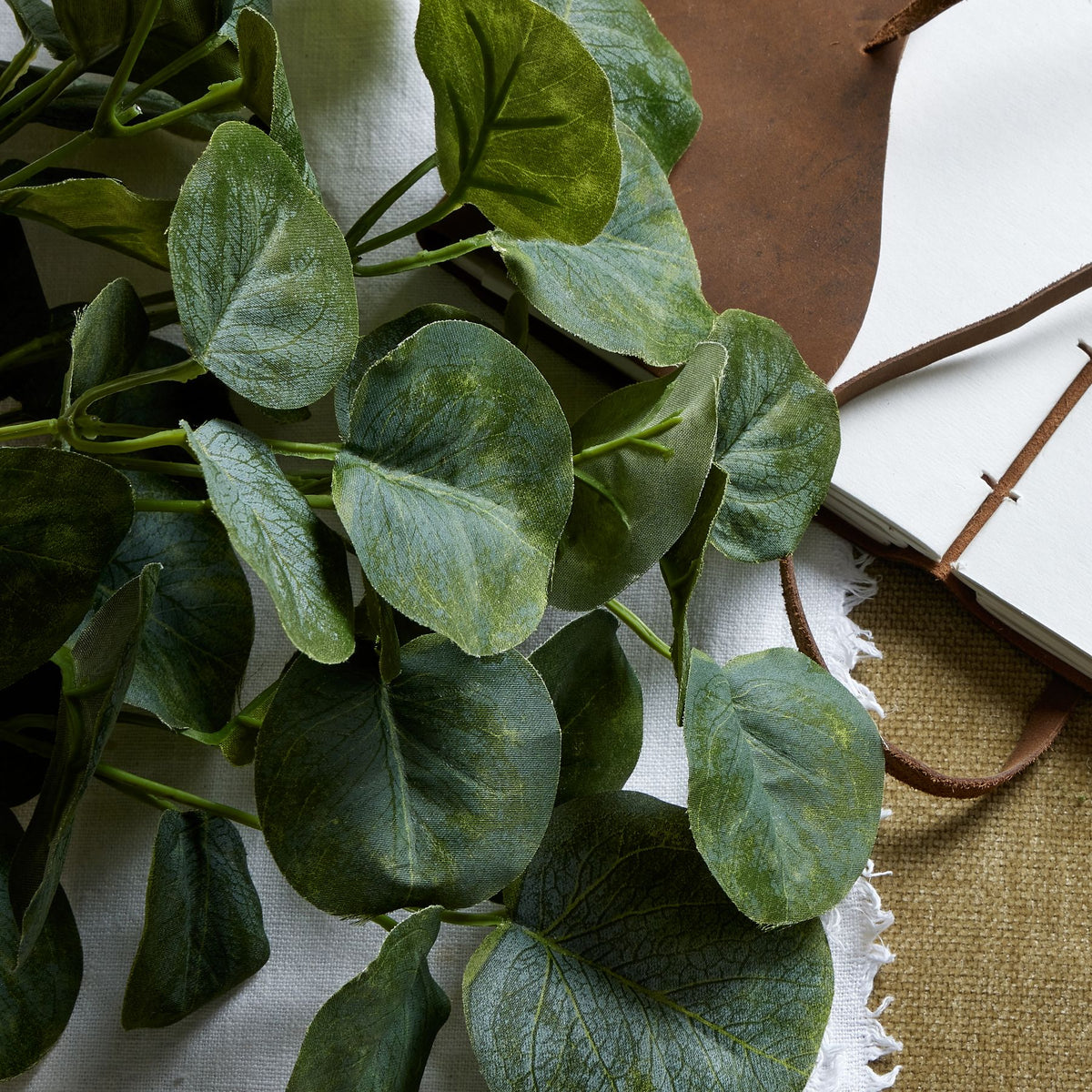 Short Eucalyptus Bunch - image 2