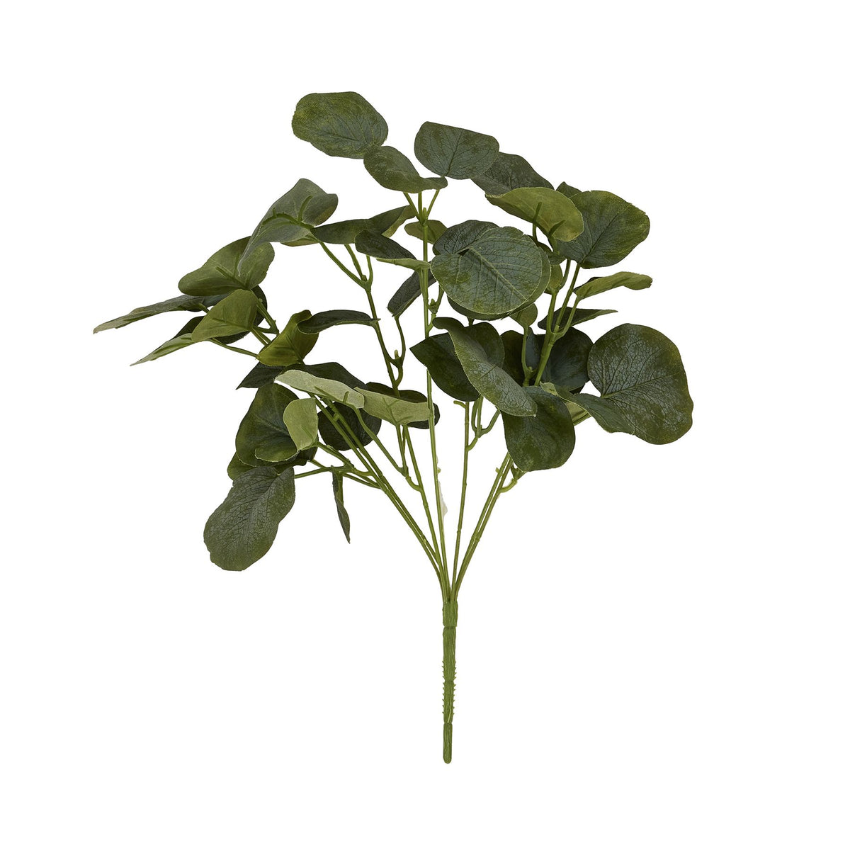 Short Eucalyptus Bunch - image 4