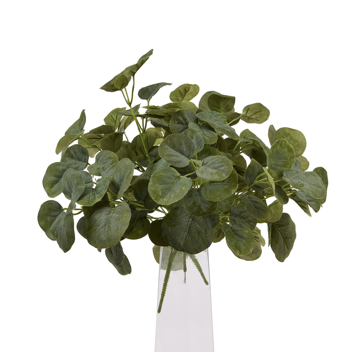 Short Eucalyptus Bunch - image 5