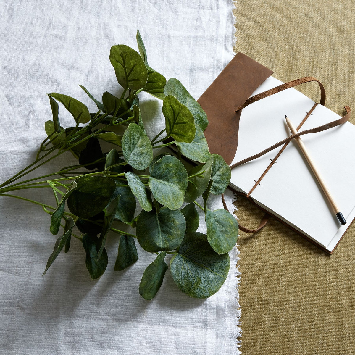 Short Eucalyptus Bunch - image 1