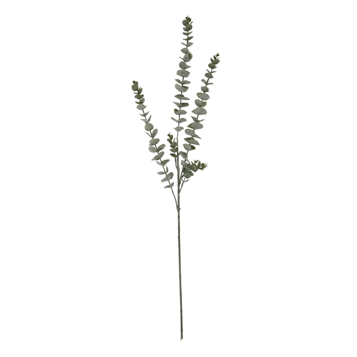 Gunnii Blue Eucalyptus Spray - image 4