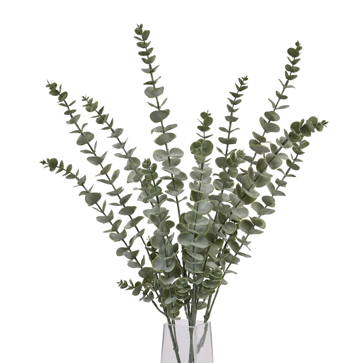 Gunnii Blue Eucalyptus Spray - image 5
