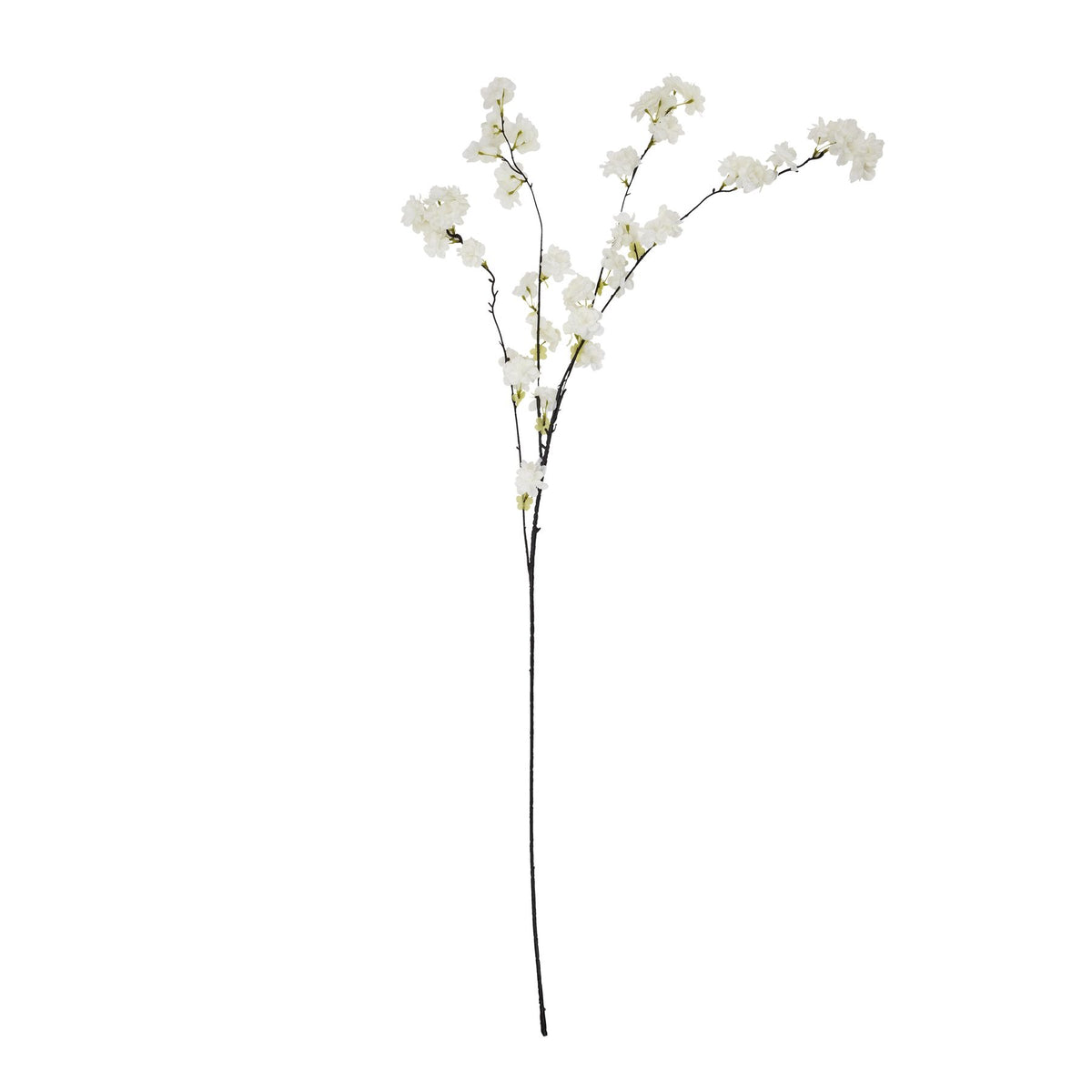 Large White Cherry Blossom Stem - image 2