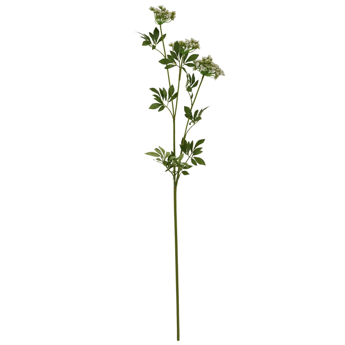Faux White Cow Parsley Ammi - image 4