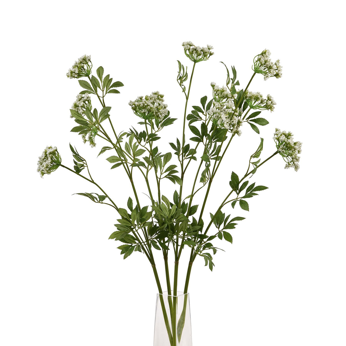 Faux White Cow Parsley Ammi - image 5