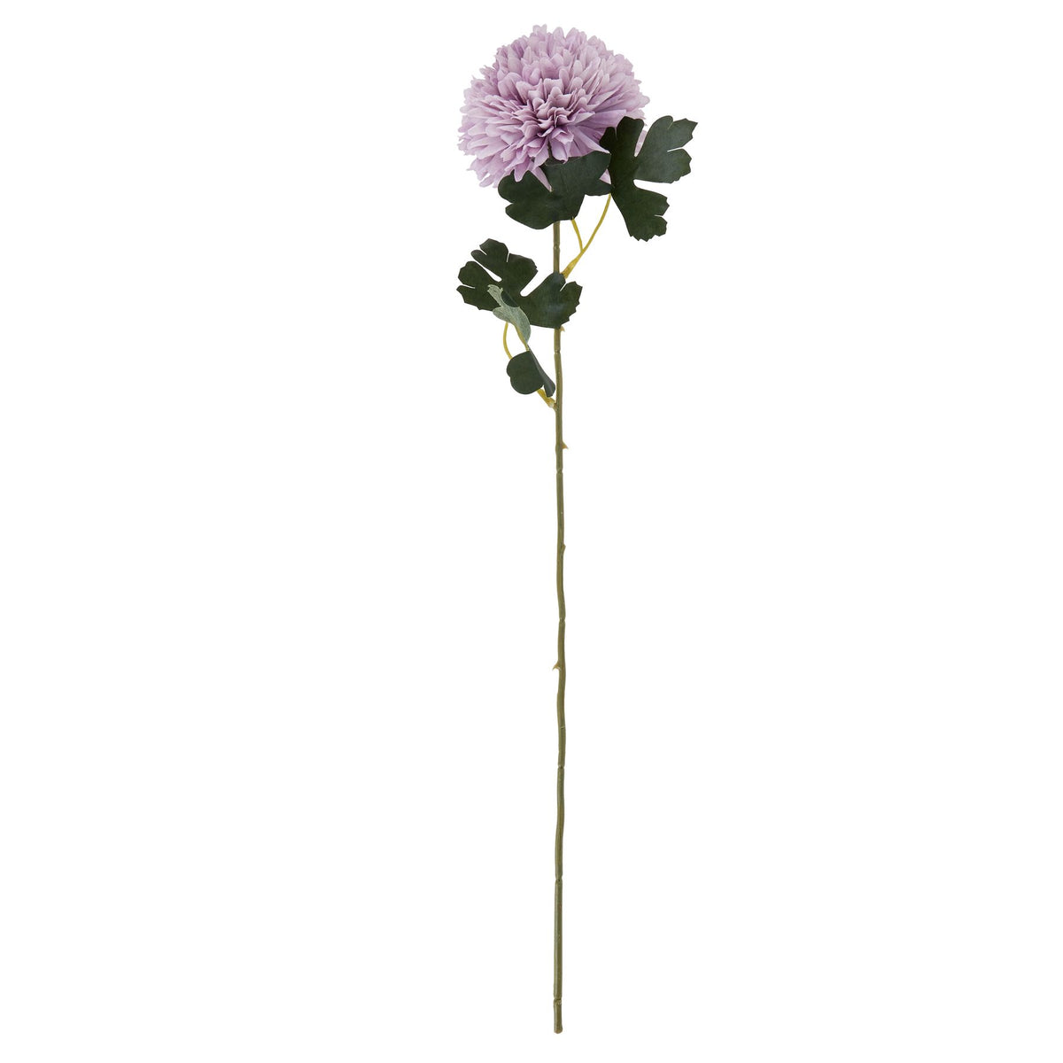 Light Purple Chrysanthemum - image 3