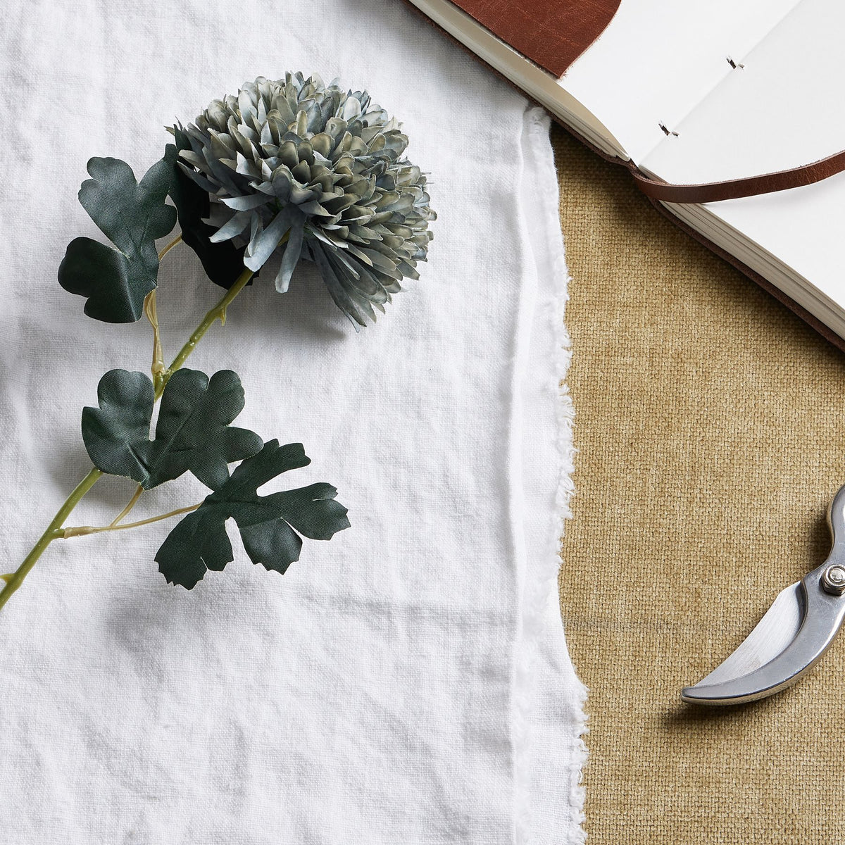 Pale Green Blue Chrysanthemum - image 2