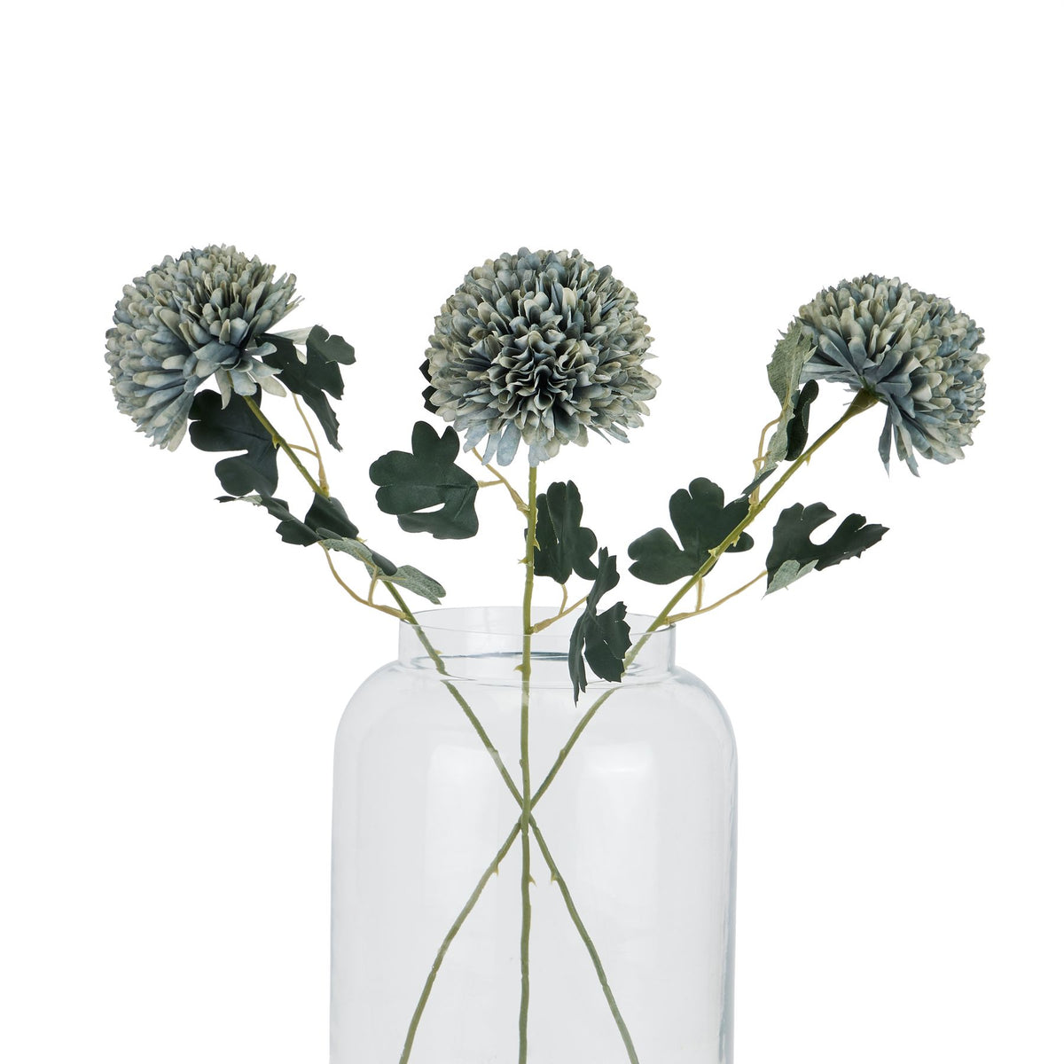 Pale Green Blue Chrysanthemum - image 4