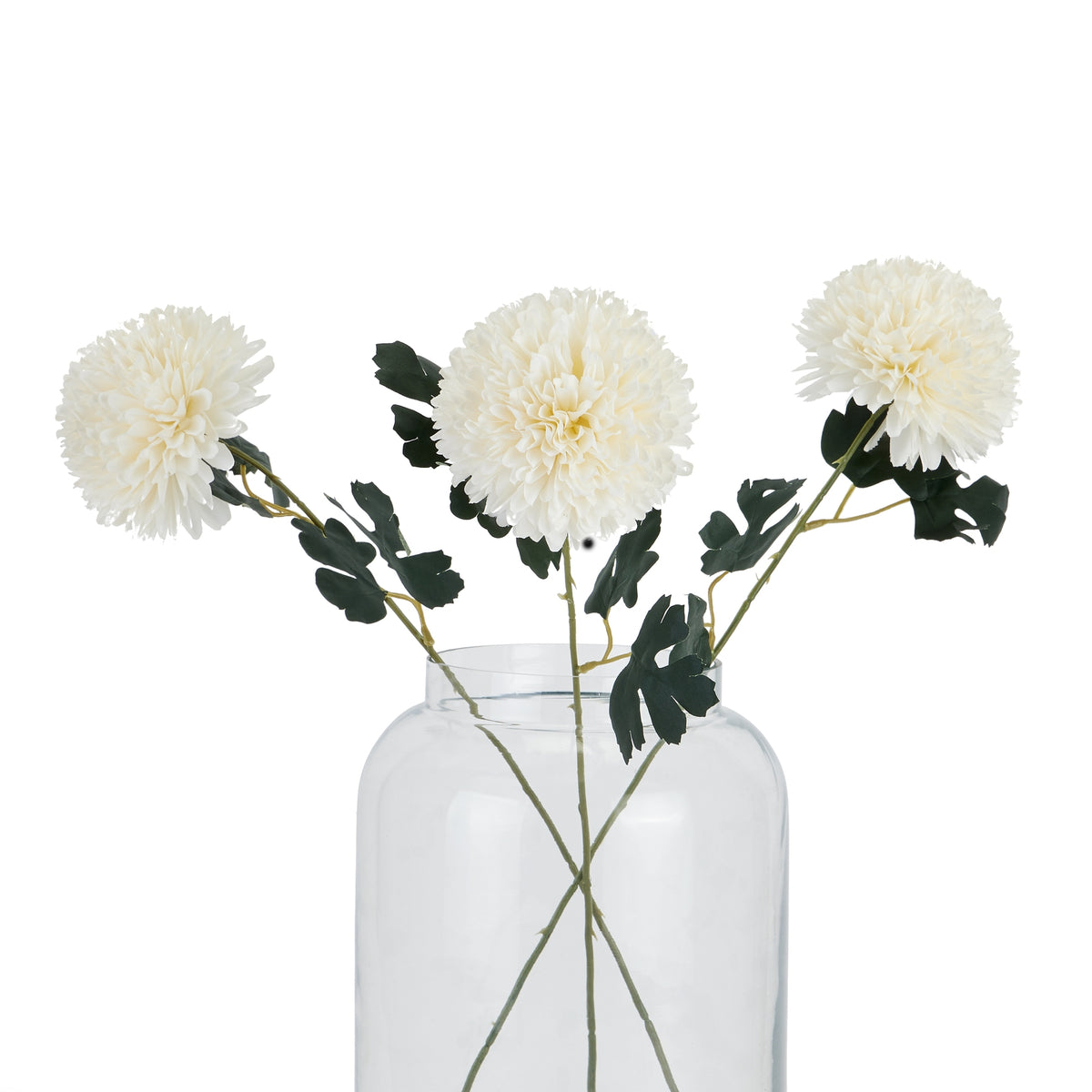 White Chrysanthemum - image 4
