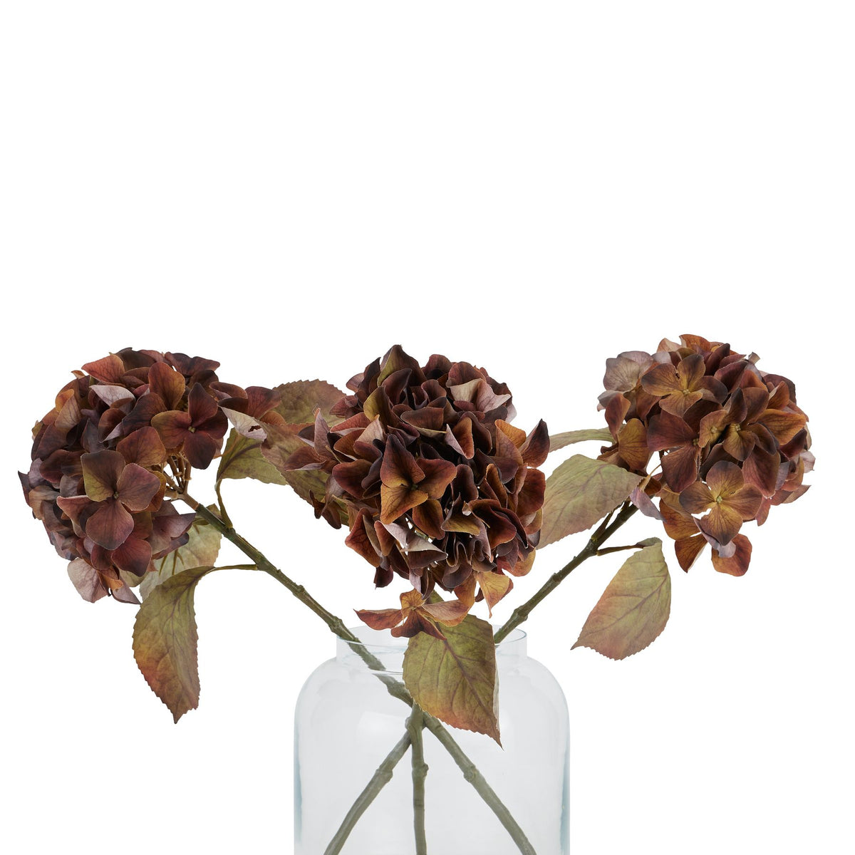 Mixed Autumn Browns Single Hydrangea Stem - image 4