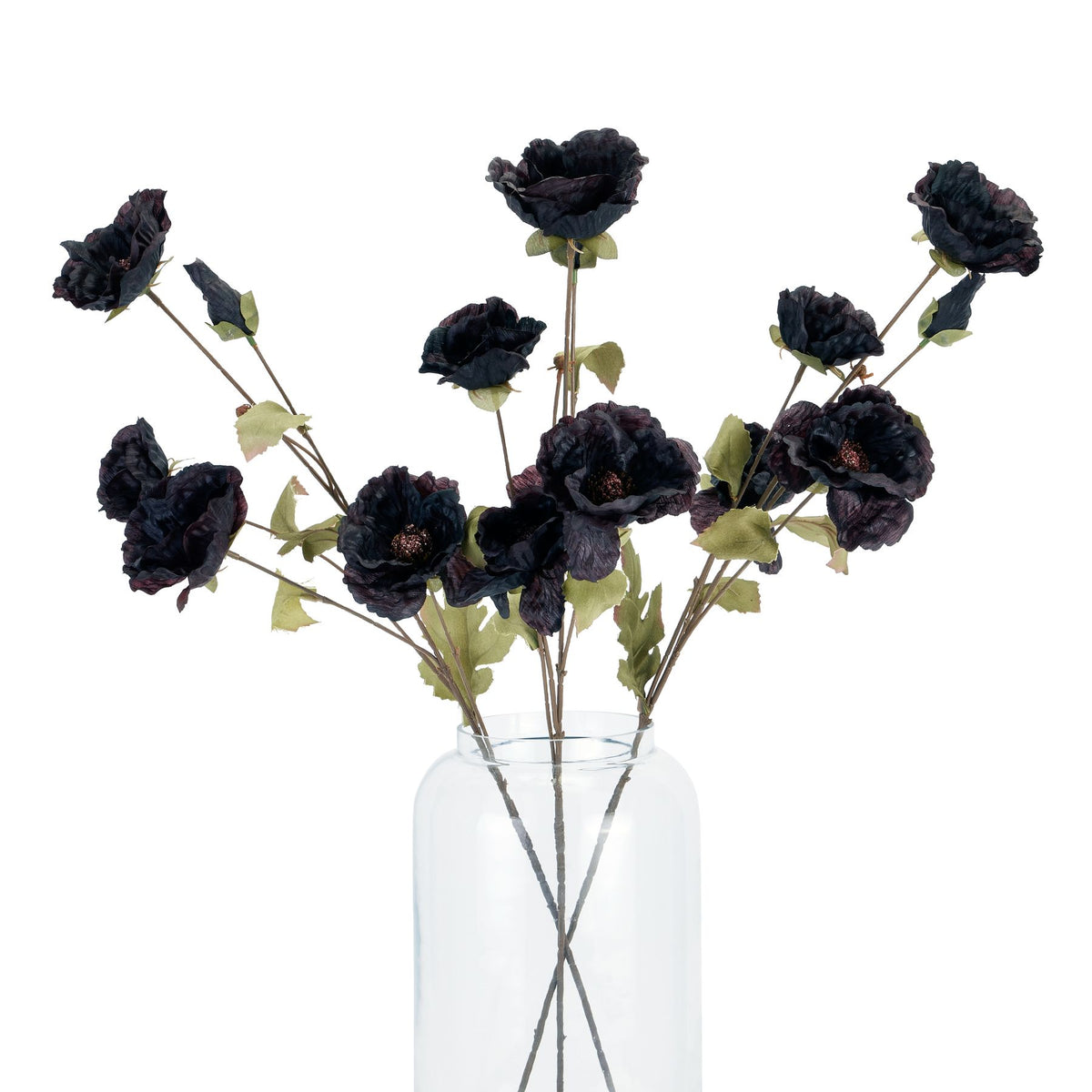 Tall Black Poppy Stem - image 4