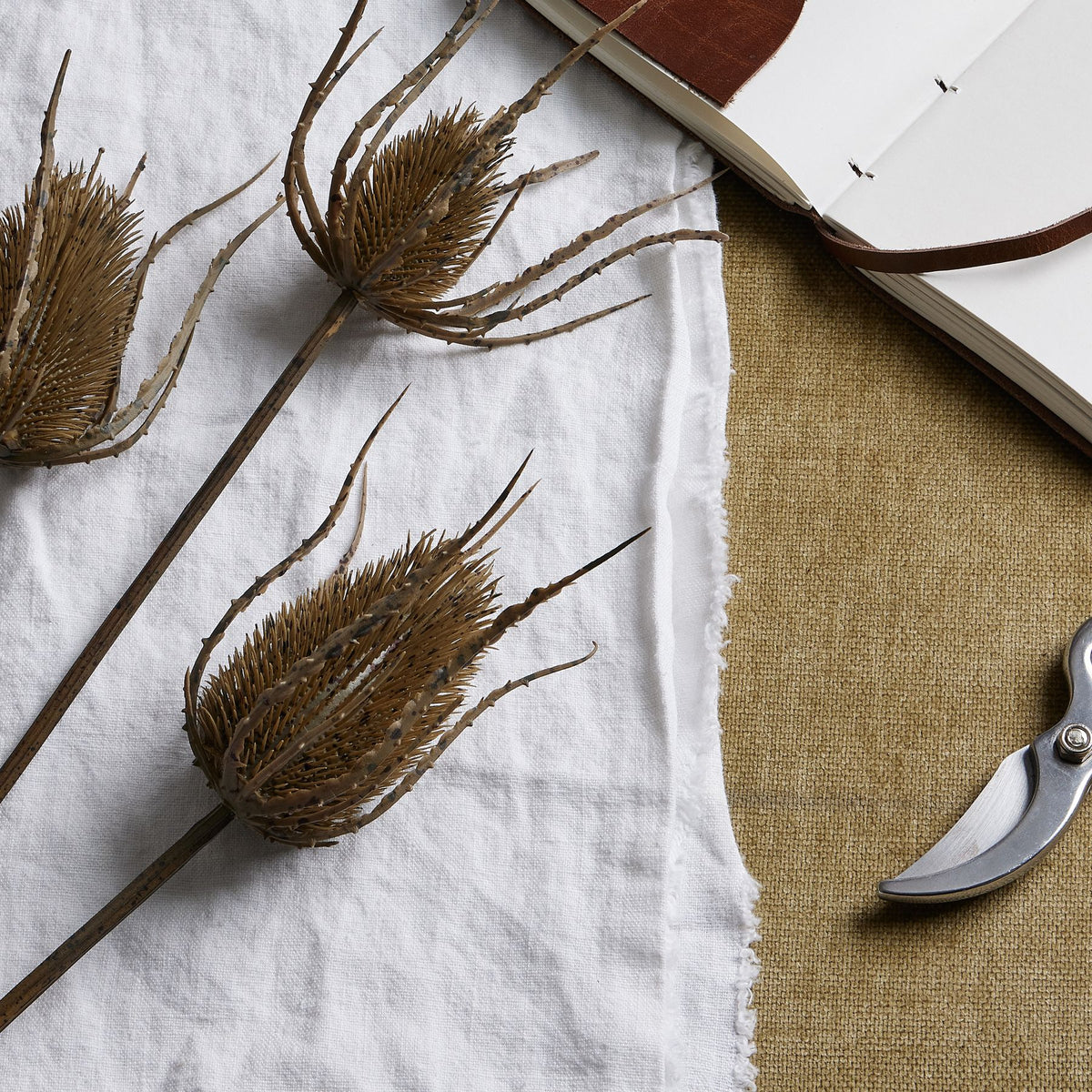 Large Brown Triple Teasle Stem - image 2