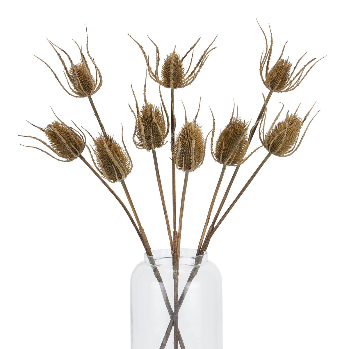 Large Brown Triple Teasle Stem - image 4