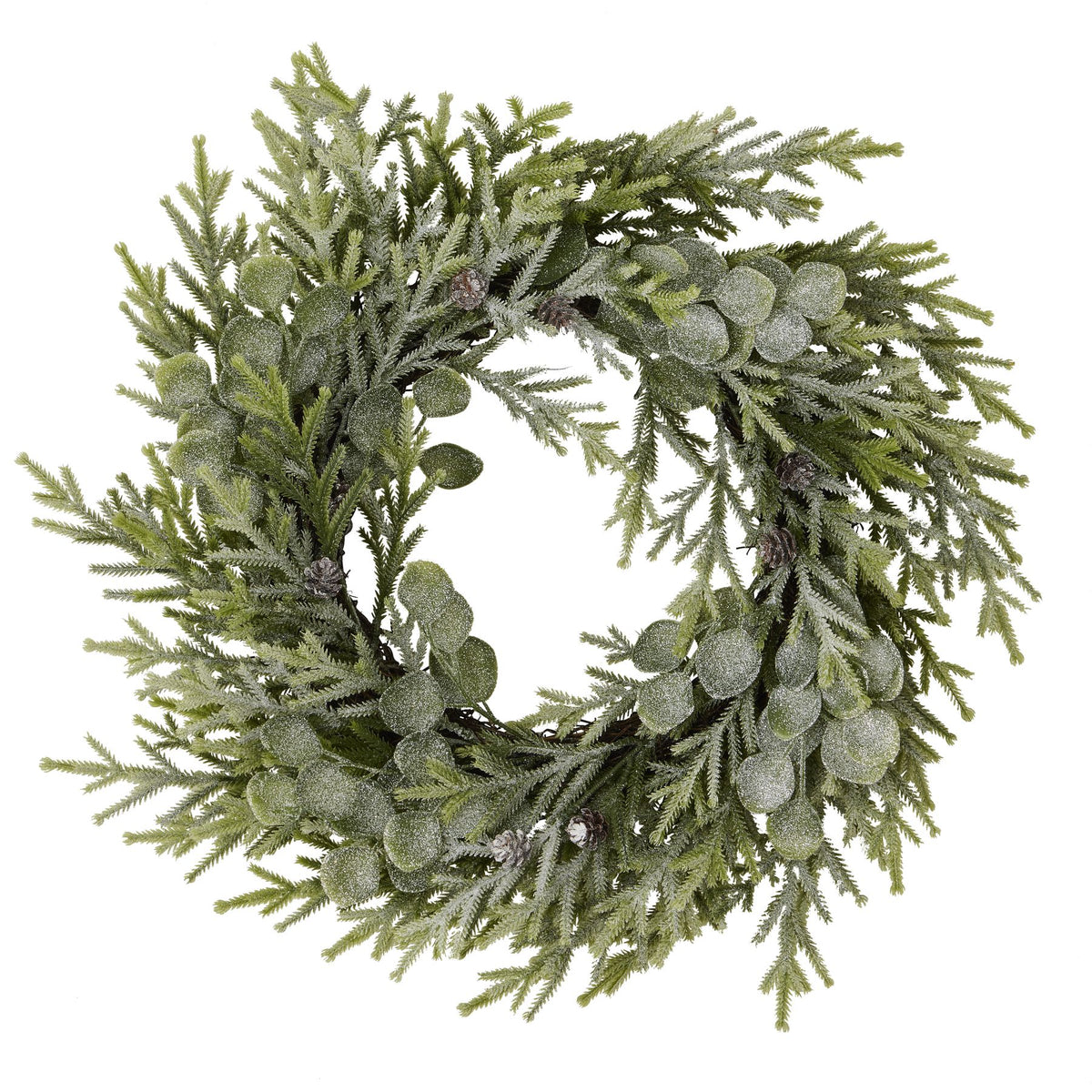 Frosted Pine And Eucalyptus Wreath - image 1