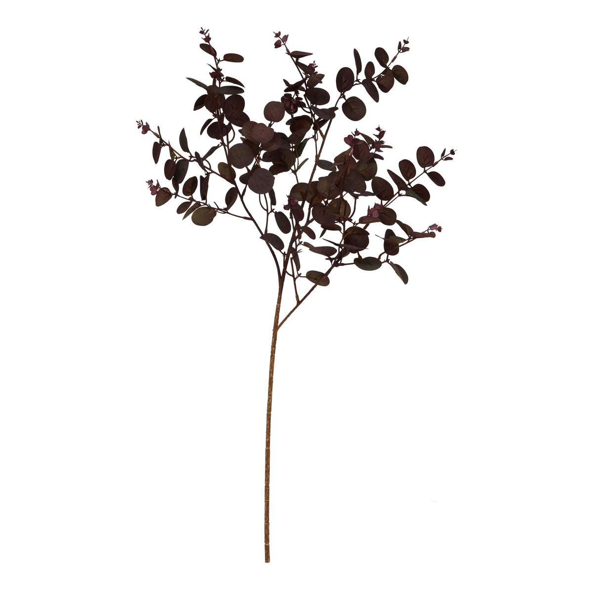 Burgundy Eucalyptus Bunch - image 2