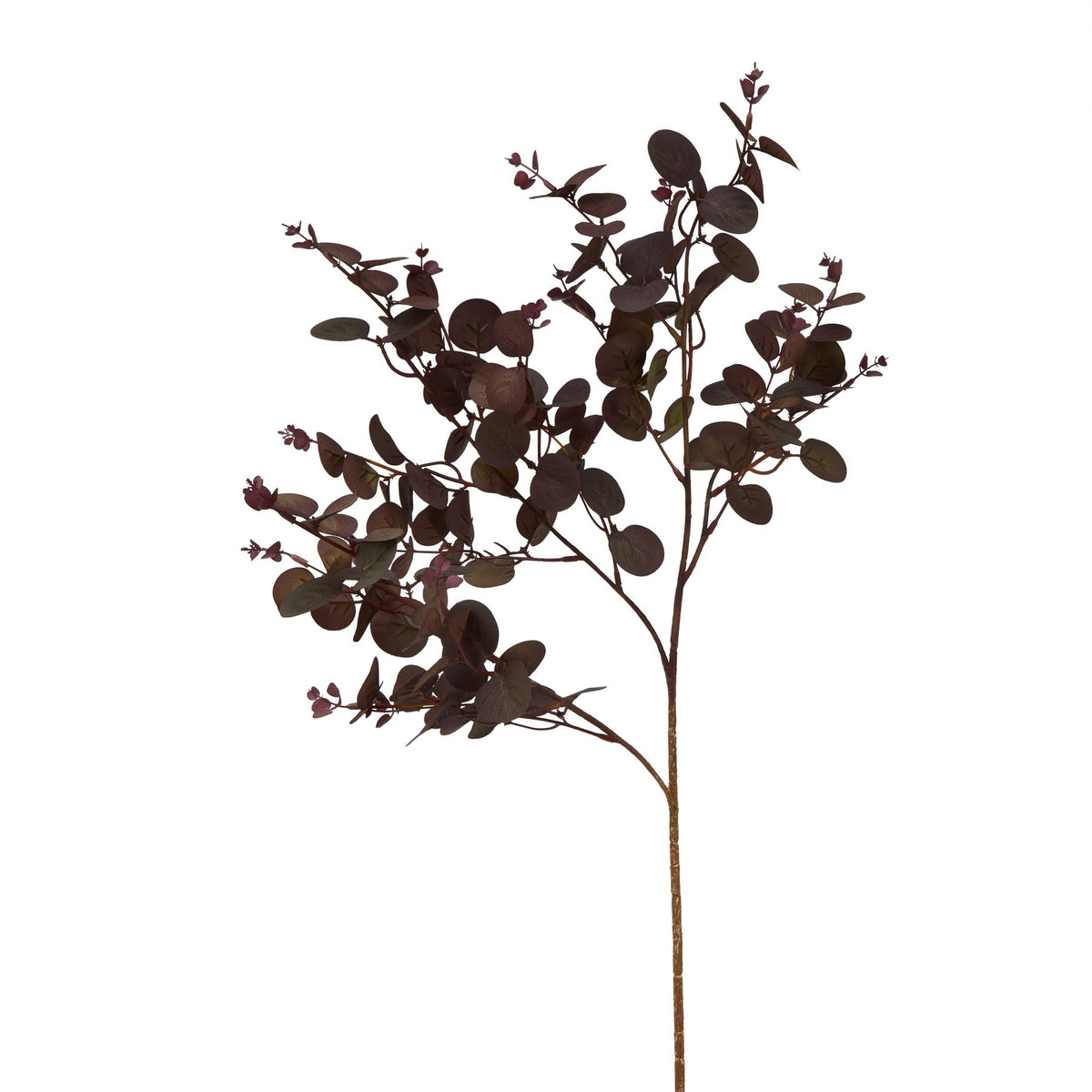 Burgundy Eucalyptus Bunch - image 1