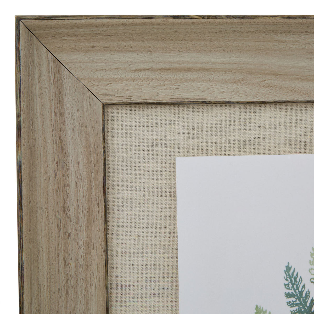 Watercolour Fern Duo In Washed Wood Frame - image 2