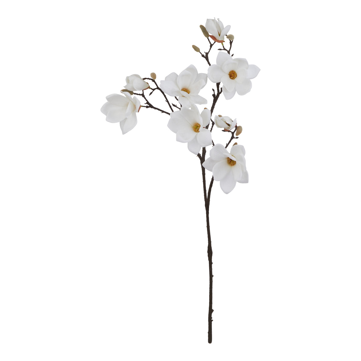 The Natural Garden Collection White Magnolia Stem - image 3