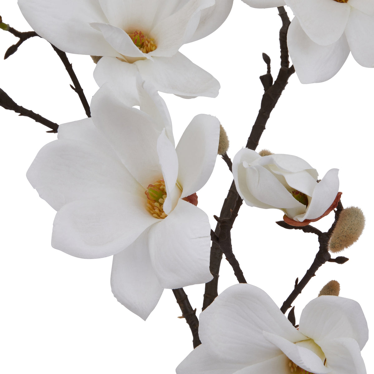 The Natural Garden Collection White Magnolia Stem - image 4