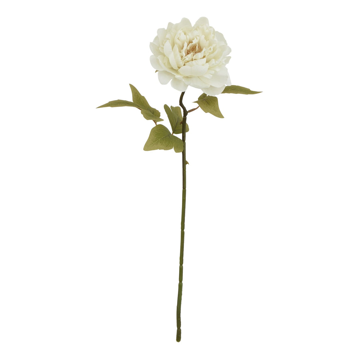 The Natural Garden Collection White Peony - image 1
