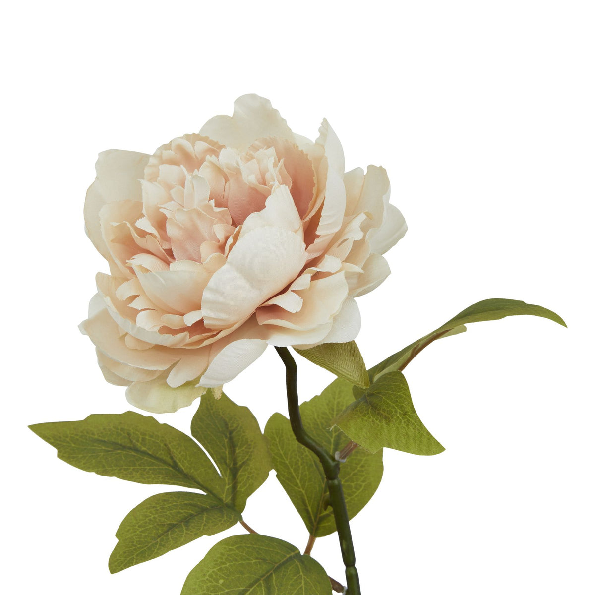 The Natural Garden Collection Blush Peony - image 2