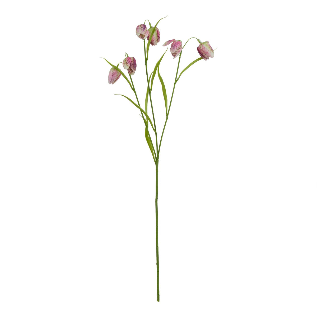 The Natural Garden Collection Purple Fritillaria Stem - image 1
