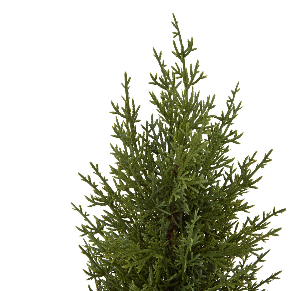 Small Green Fir Tree In Wood Log - image 2