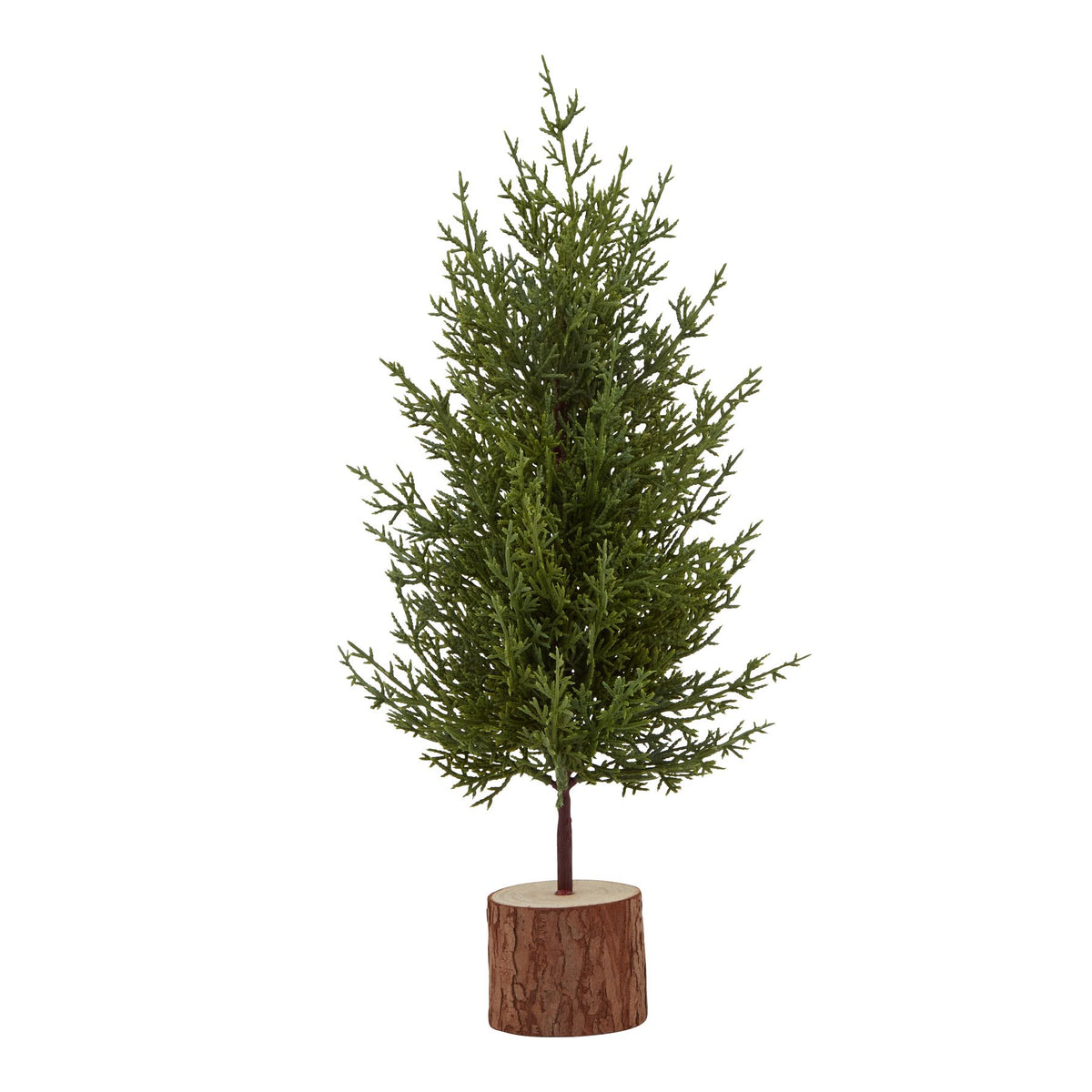 Small Green Fir Tree In Wood Log - image 1