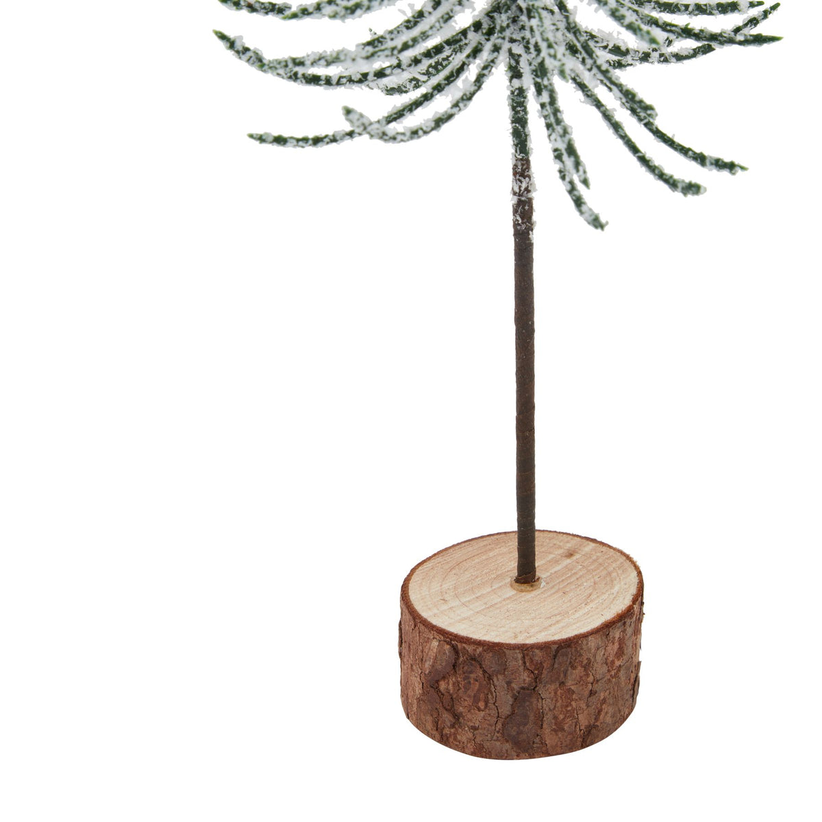 Small Snowy Spindle Tree In Wood Log - image 3