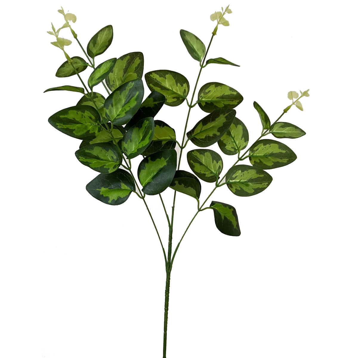 Variegated Leaf Spray - image 1