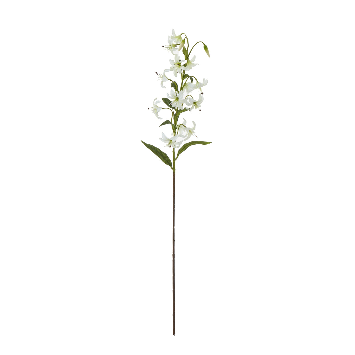 Turks Cap Green Lily Spray - image 3