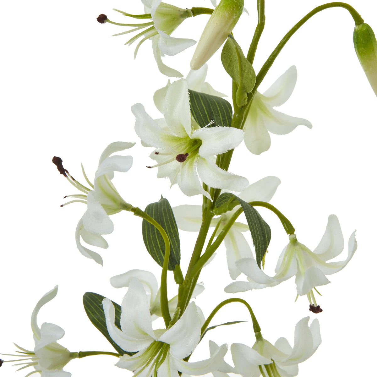 Turks Cap Green Lily Spray - image 4