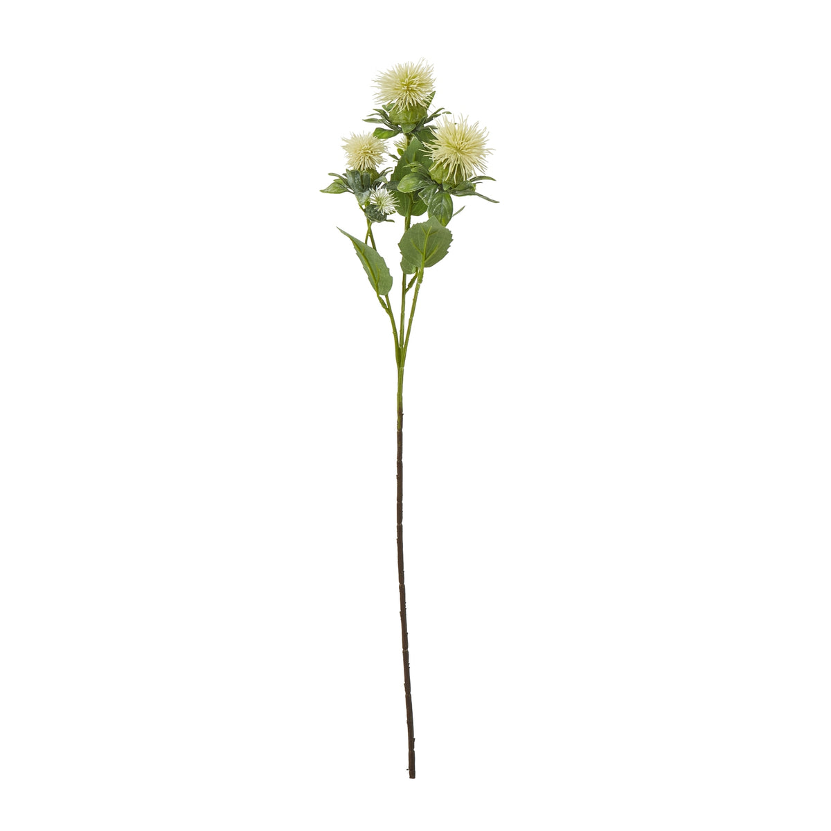 Cream Safflower Spray - image 1