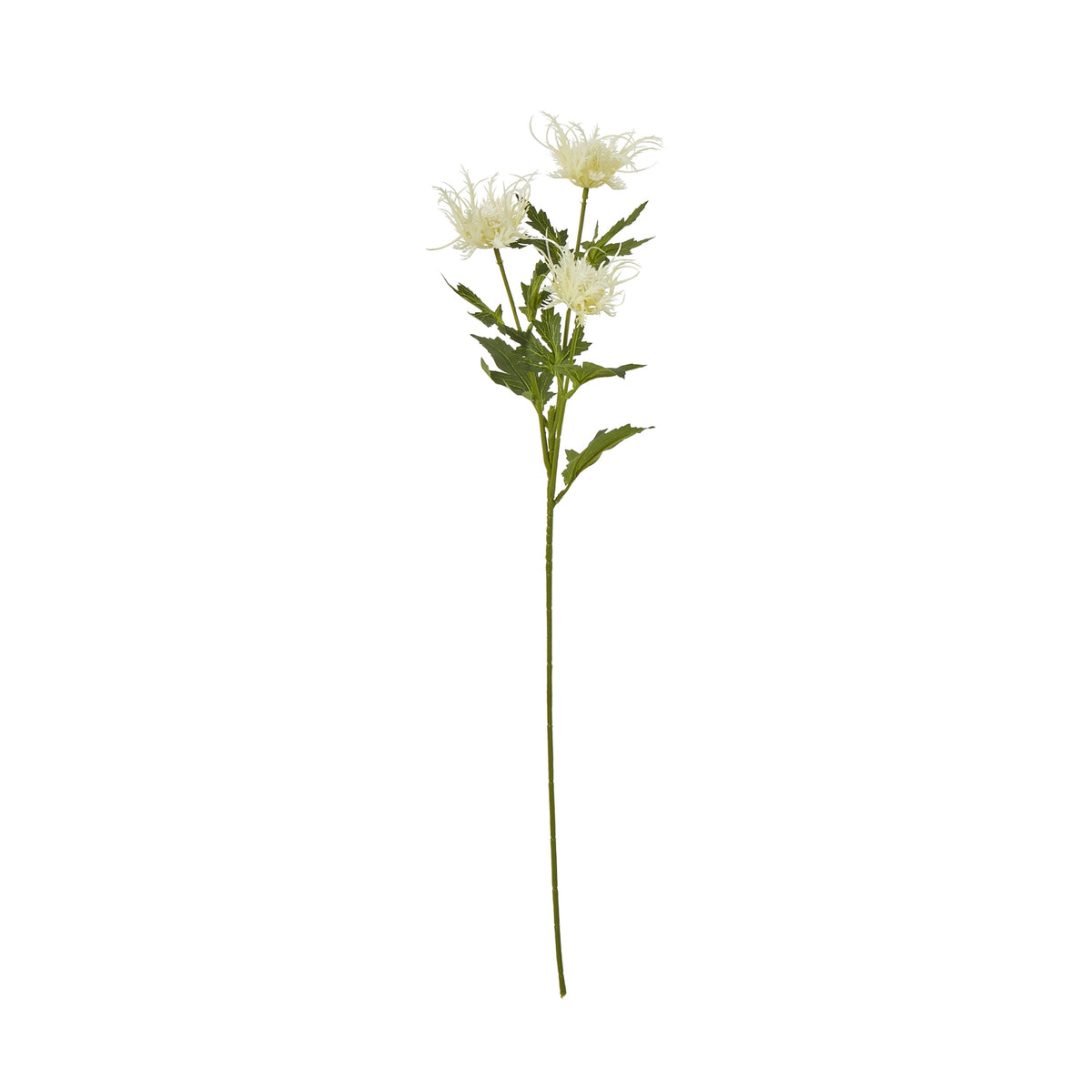 Cream Sea Holly Spray - image 1
