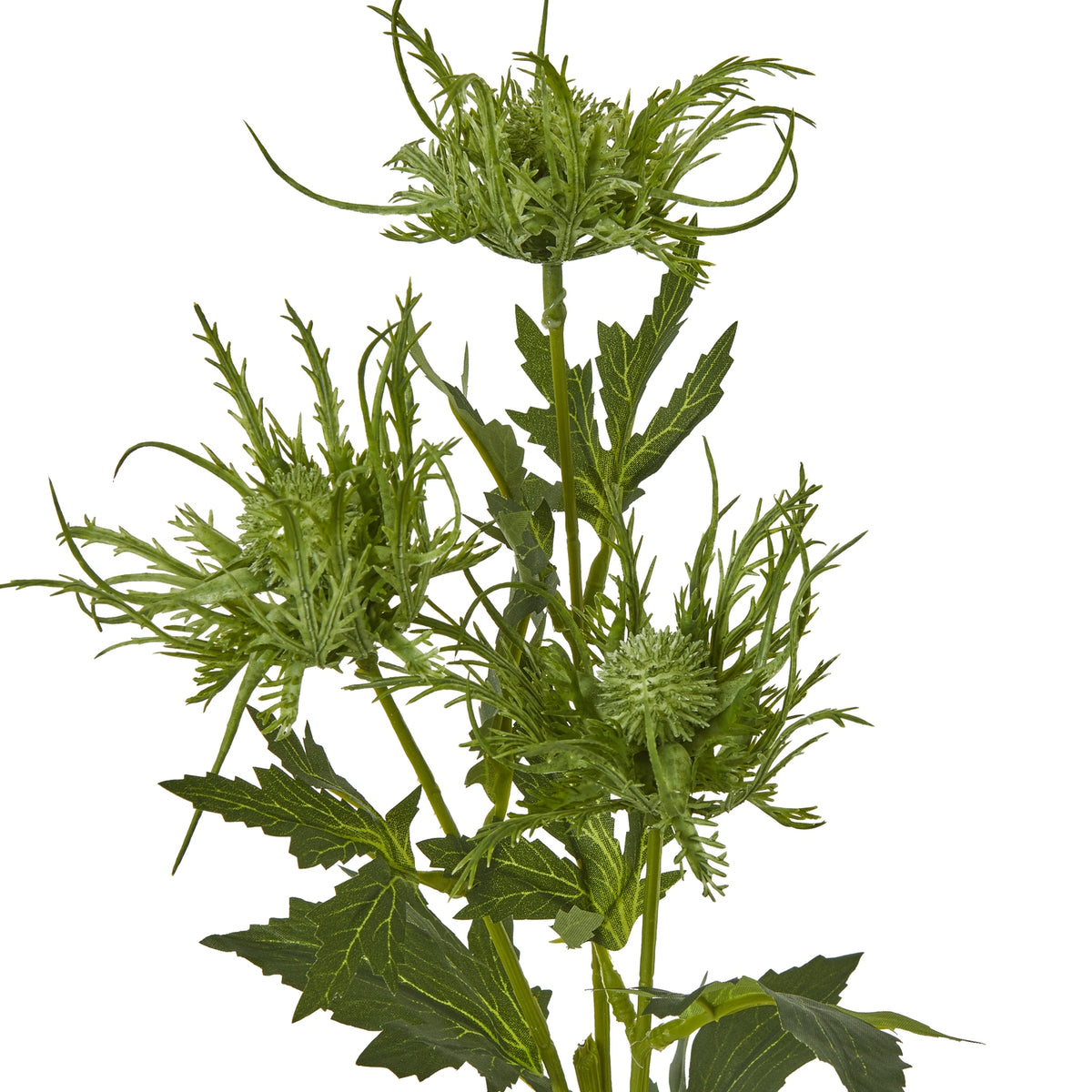 Green Sea Holly Spray - image 2