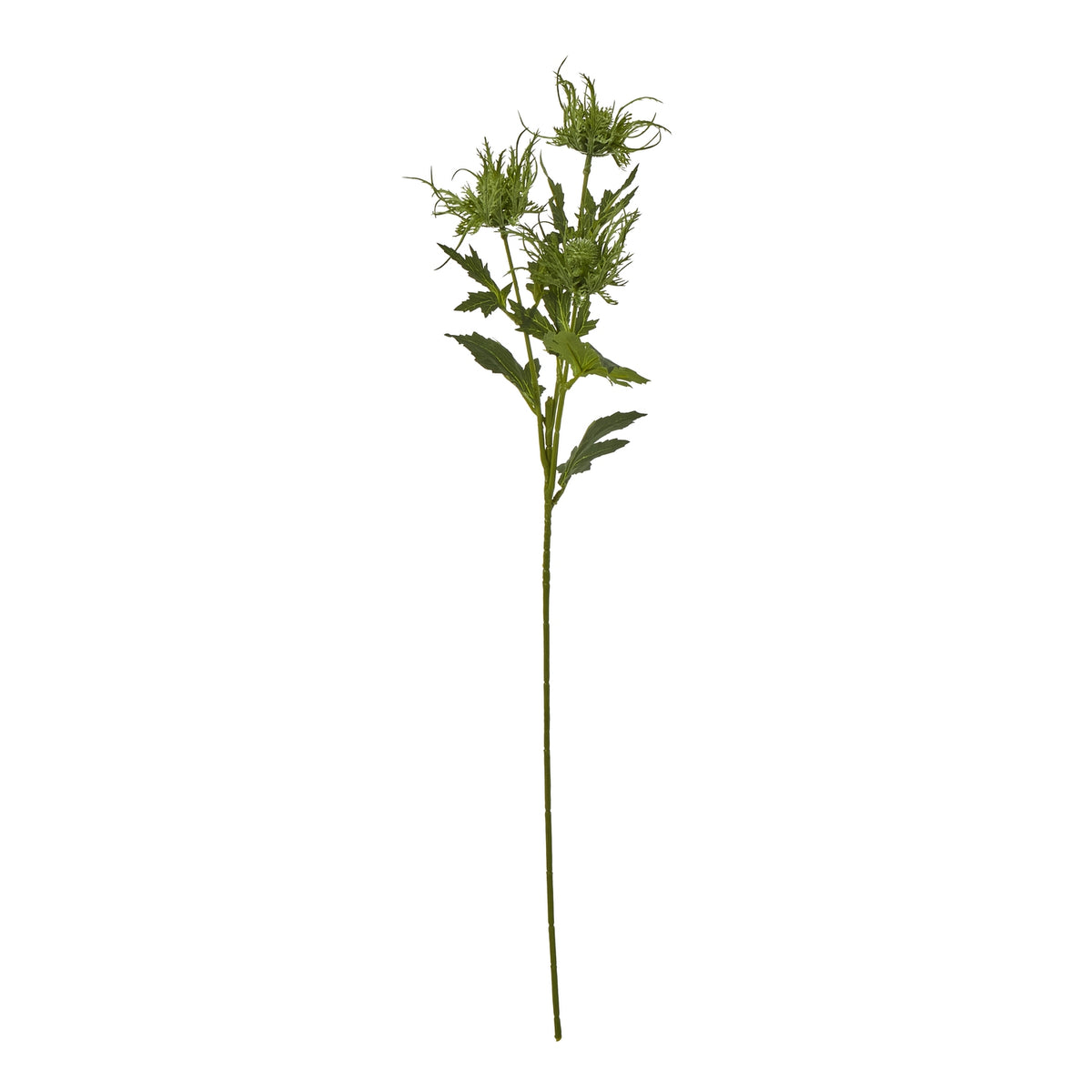 Green Sea Holly Spray - image 1
