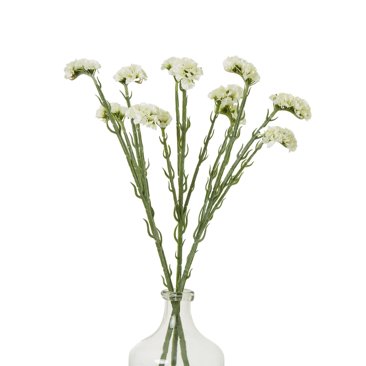 Cream Statice Spray - image 3