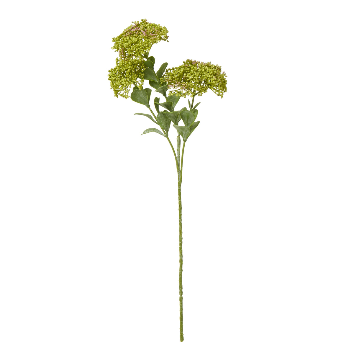 Green Sedum Spray - image 1