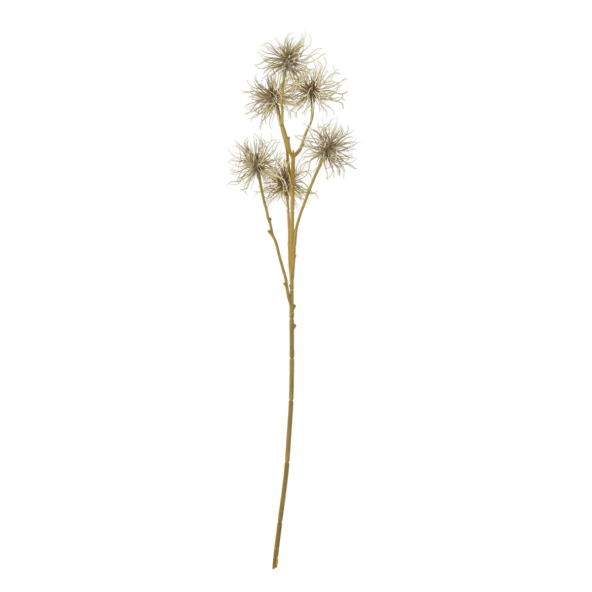 Brown Xanthium Spray - image 1