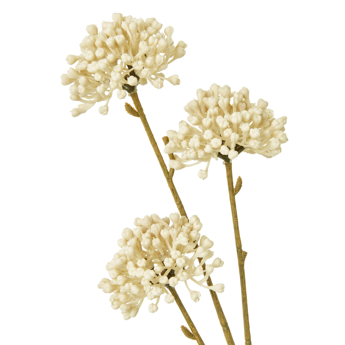 Cream Allium Spray - image 2