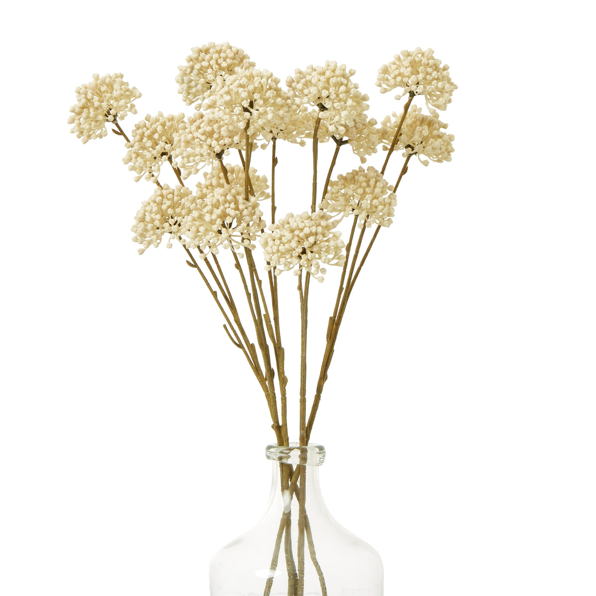 Cream Allium Spray - image 3